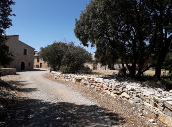 Percorso Marcia Puéchabon - Puechabon belvedere st guilhem  - Photo