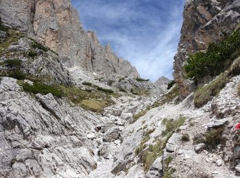 Randonnée A pied Auronzo di Cadore - IT-152 - Photo