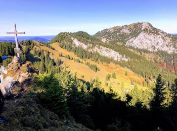 Tocht Te voet Bayrischzell - Wendelstein - Birkenstein - Photo