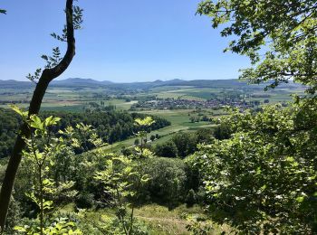 Tocht Te voet Liebenau - Zum Naturdenkmal Rosenberg - Photo