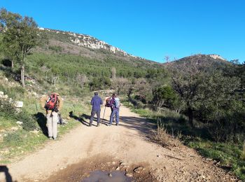 Randonnée Marche Cuers - Barres de Cuers  - Photo