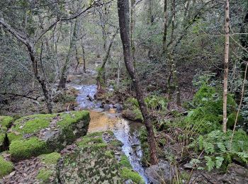 Trail Walking Malbosc - de Chams en hameaux  - Photo