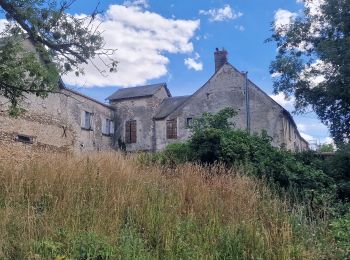 Tocht Te voet Sainte-Mesme - Boucle en forêt de Dourdan au départ de Sainte Mesme - Photo