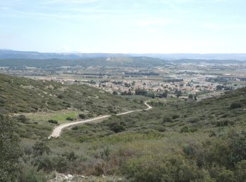 Tocht Stappen La Fare-les-Oliviers - PF-La Fare-les-Oliviers - J - Photo