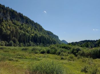 Tour Wandern Le Frasnois - Tour du lac du Franoy - Photo