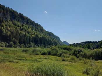 Tocht Stappen Le Frasnois - Tour du lac du Franoy - Photo