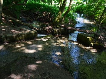 Randonnée A pied Räbke - Zielwanderweg Königslutter Schunterquelle - Photo