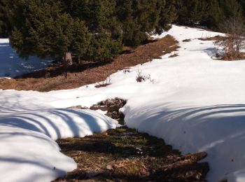 Tour Wandern Val-d'Arc - les Mauilles - Photo