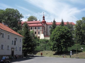 Randonnée A pied Bezdružice - [M] Bezdružice - Nezdický potok - Photo