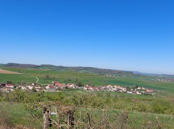 Randonnée Vélo électrique Capavenir-Vosges - autour de Thaon - Photo