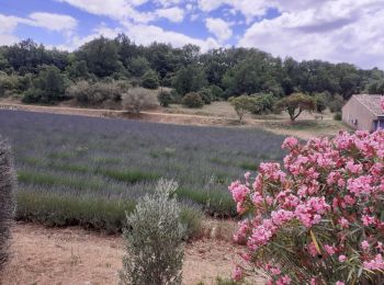 Percorso Marcia Saint-Montan - Saint Montan - Photo