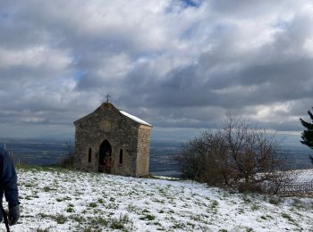 Tour Wandern Cornas - Cornas ors - Photo