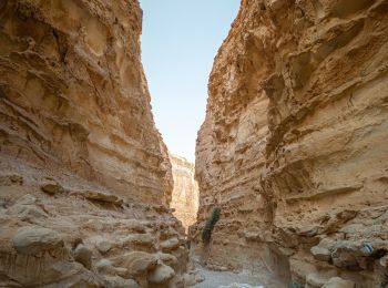 Trail On foot Central Arava Regional Council - נחל ברק - Photo