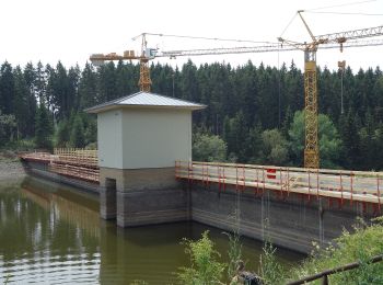 Randonnée A pied Oberharz am Brocken - Wanderweg grüner Punkt - Photo