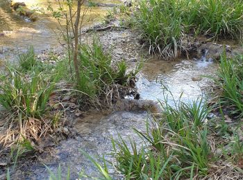 Trail Walking Saint-Zacharie - st zacharie - source de l'huveaune - Taurelle - Photo