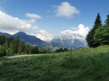 Trail Walking Manigod - La Clusaz ... au départ du col de la Croix de FRY. - Photo