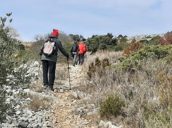 Tocht Stappen Opoul-Périllos - opoul - Photo