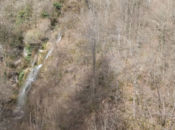 Excursión Senderismo Lavans-lès-Saint-Claude - Viaduc du Tram Lizon - Photo