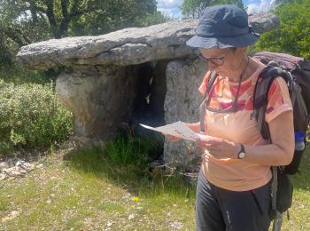 Tour Wandern Bidon - 07 BIDON Dolmen réel Ardèche  - Photo