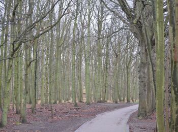 Randonnée A pied Bloemendaal - AWD-Pannenland-Blauw - Photo