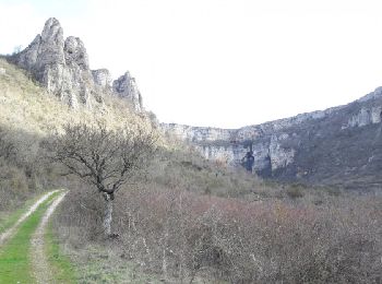 Randonnée Marche Tournemire - Le Cirque de Tournemire et le Sentier des Échelles en passant par Roquefort - Photo