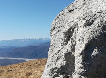 Trail On foot Gemona del Friuli - IT-716 - Photo