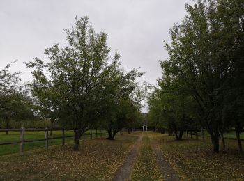 Randonnée Marche Cambremer - Saint Pair du Mont- Dozulé - Photo