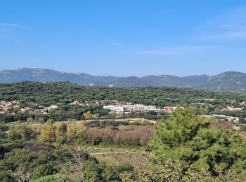 Tour Wandern Gassin - Gassin - du parking du bourrin au village - Photo