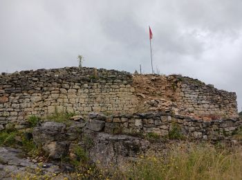 Trail Walking Cerdon - Cerdon Vierge et grottes - Photo