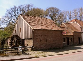 Randonnée A pied Diepenbeek - De Maten rood - Photo