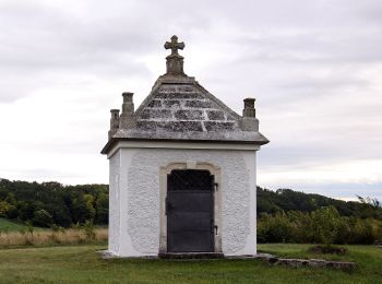 Tocht Te voet Siegendorf/Cindrof - Königsschüssel-Tour (Vital-Parcours Siegendorf) - Photo