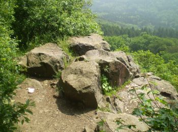 Trail On foot Bad Honnef - Rheinsteig-Zuweg Hövel/Aegidienberg - Photo