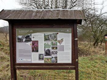 Randonnée A pied Hory - NS Doubí - Svatošské skály - Photo