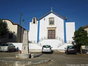 Tour Zu Fuß Dois Portos e Runa - Rota da Vinha e do Vinho - Photo