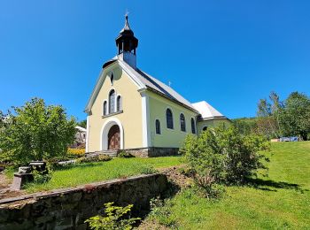 Excursión A pie Zlaté Hory - Údolská hornická NS - Photo