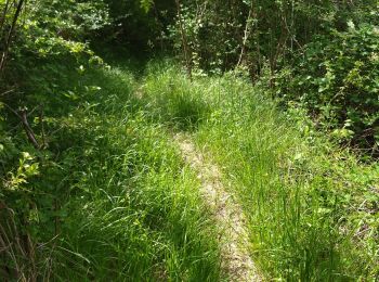 Tour Wandern Pont-en-Royans - 38 pont en Royans st andre - Photo