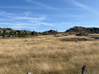 Tour sport Peyre en Aubrac - Nasbinals jour 5 - Photo