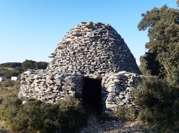 Tocht Stappen La Fare-les-Oliviers - La Fare les Oliviers - Bories - Vigie - Photo