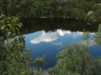 Tour Zu Fuß  - Revsvatnet - Photo