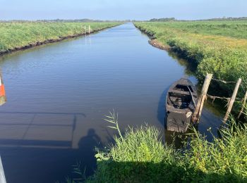 Excursión Ruta Saint-Joachim - Le Marais de Brière - Photo