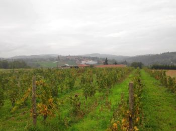 Randonnée Marche Lozanne - forêt de la flachere - Photo