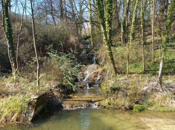 Randonnée Marche Montbonnot-Saint-Martin - Le bois  Français  - Photo