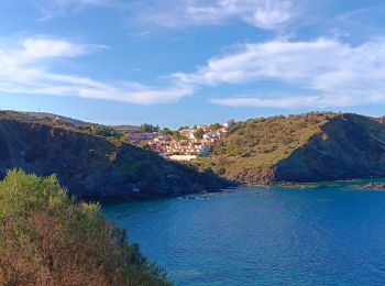 Percorso Marcia Cerbère - village des aloès - cap cerbère/ aller-retour - Photo