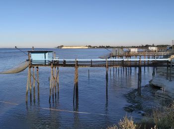 Tocht Stappen Barzan - Barzan plage- Le Fâ - Le caillaud - Photo