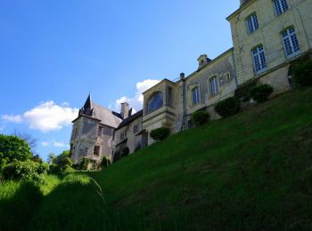 Randonnée Marche Saint-Germain-sur-Vienne - Saint-Germain-sur-Vienne - Zig zag GR3 Fontevraud-l'Abbaye - 20km 350m 4h50 (45mn) - 2024 05 08 - Photo