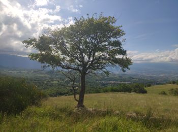 Tour Wandern Roccamorice - 324 mai 2024 Roccamorice  - Photo