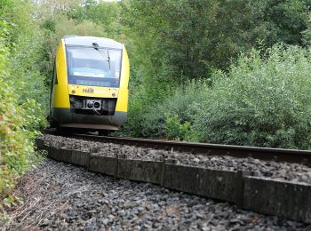 Tocht Te voet Kelkheim - Rund um den Rettershof: Weg 8 - Photo