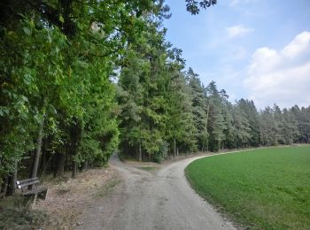 Randonnée A pied Falkenberg - Falkenberg Rundwanderweg 5 - Photo