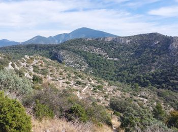 Tour Wandern Malaucène - Crête Arfuyen Pas du Loup - Photo