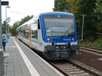 Randonnée A pied Emmelshausen - Hunsrückbahn-Wanderweg - Photo